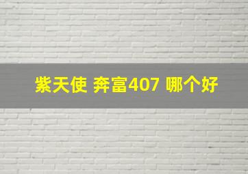 紫天使 奔富407 哪个好